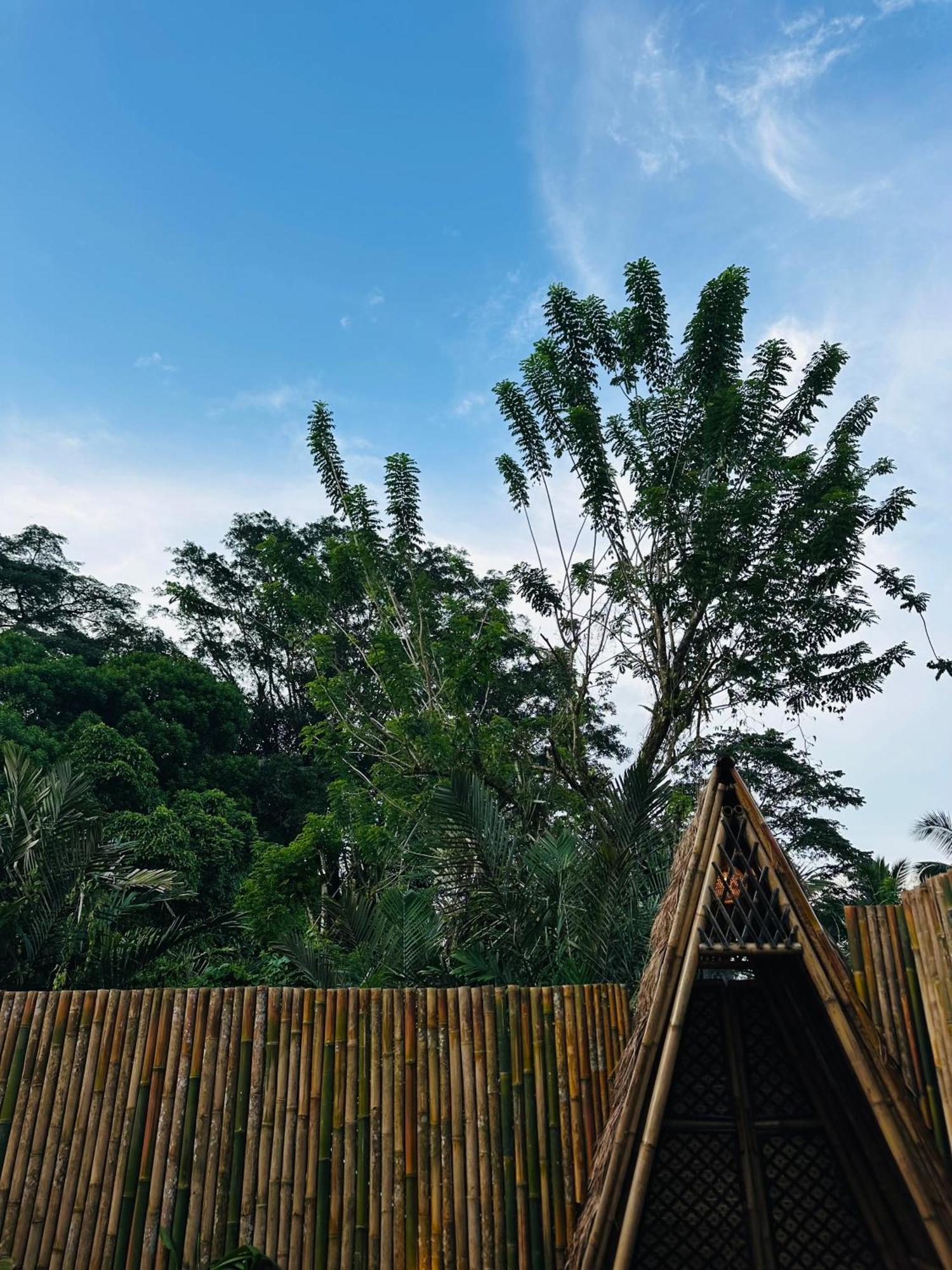 Villa Bamboo House - Ecobreeze Sidemen  Exterior foto